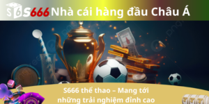 S666 thể thao – Mang tới những trải nghiệm đỉnh cao